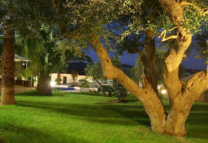 Bild 11
