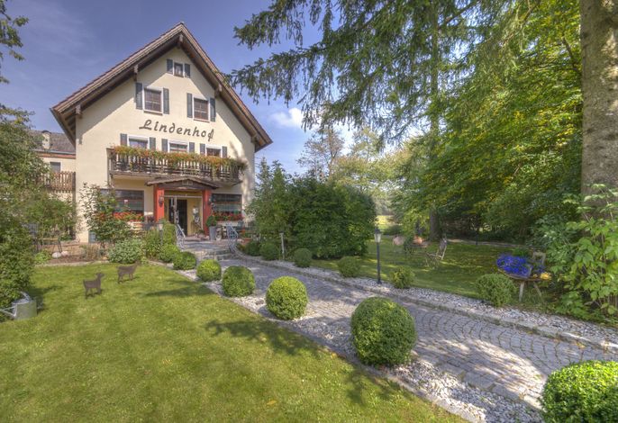 Bild 50
