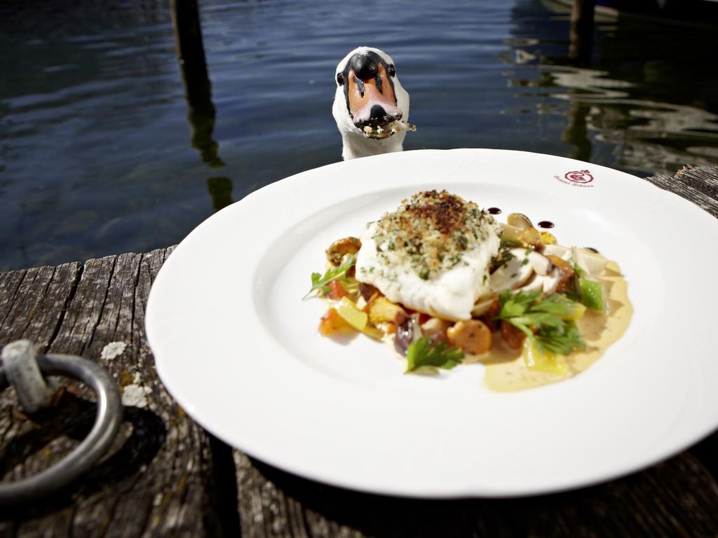 Seehotel Schwan