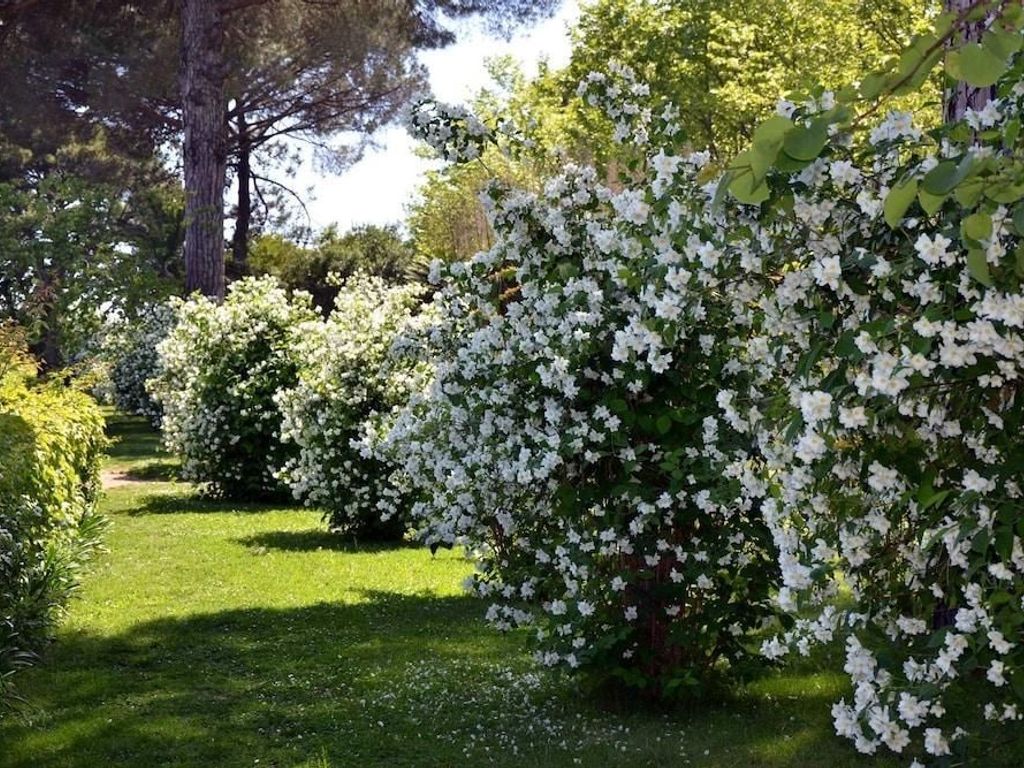 Villa Cimbrone