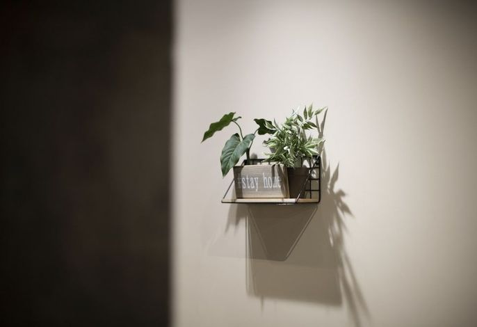 Bild 19