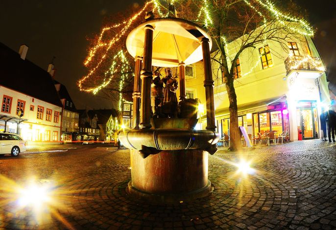 Bild 15