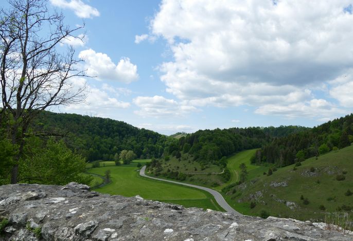 Bild 13