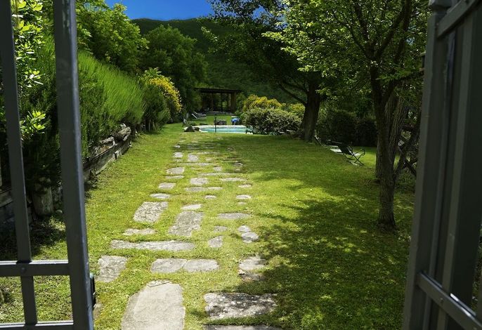 Bild 236