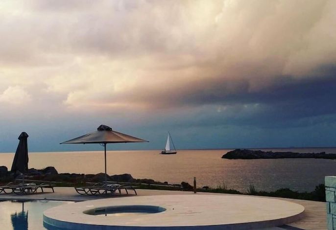 Bild 196