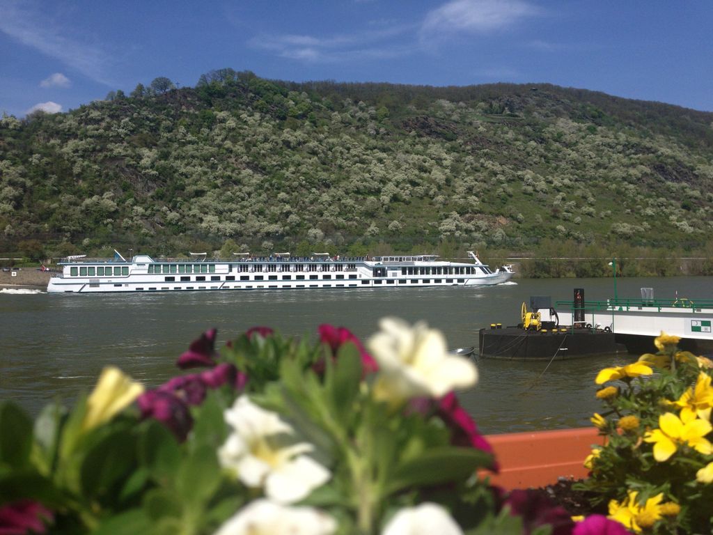 Rheinhotel Lilie