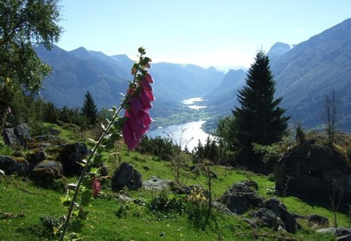 Bild 35