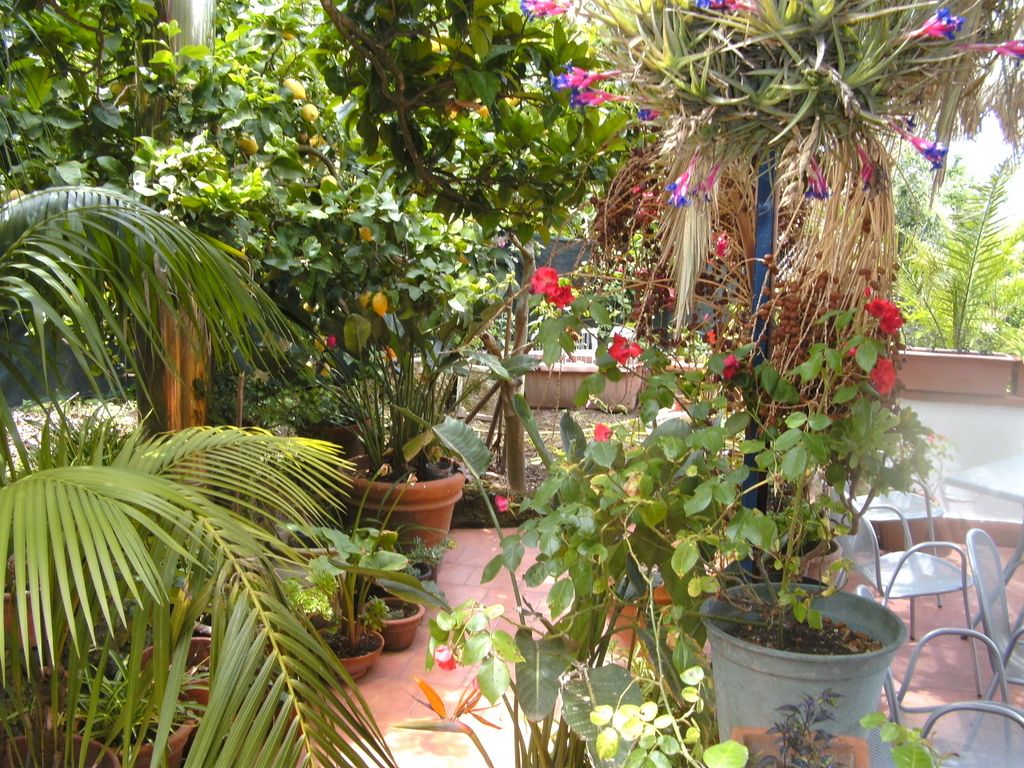 Villa Fiorentina