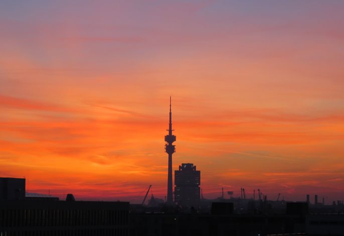 Bild 21