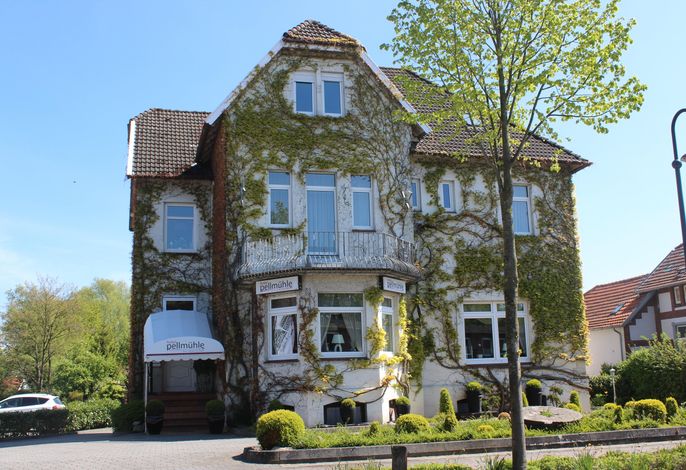 Bild 19