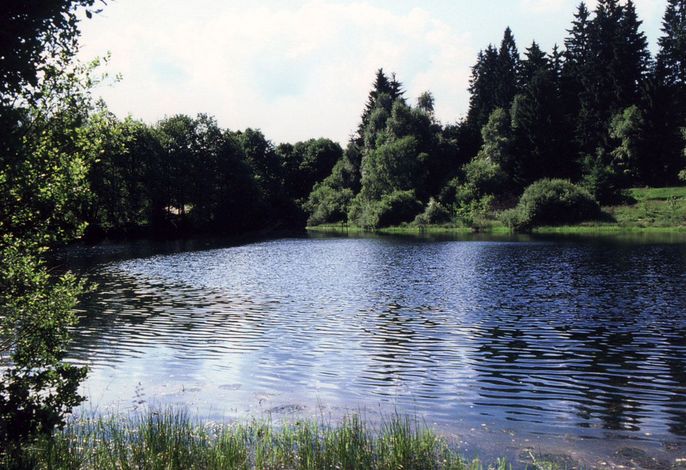 Bild 24