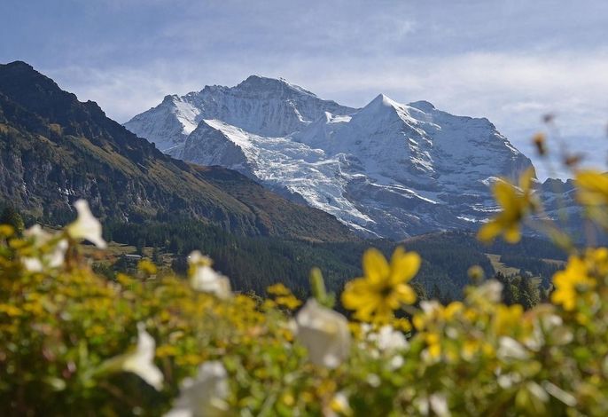 Bild 107