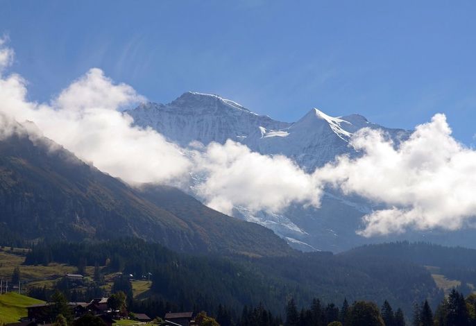Bild 116