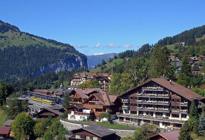 Bild 12
