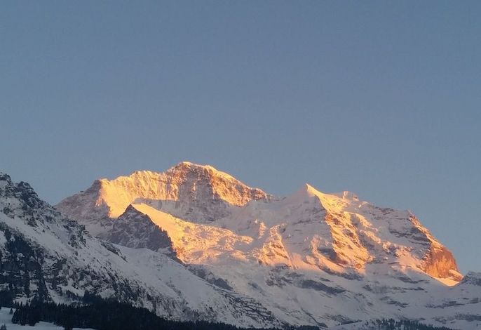 Bild 68