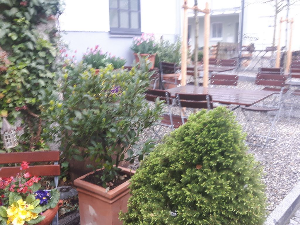 Traubenbräu Gasthof
