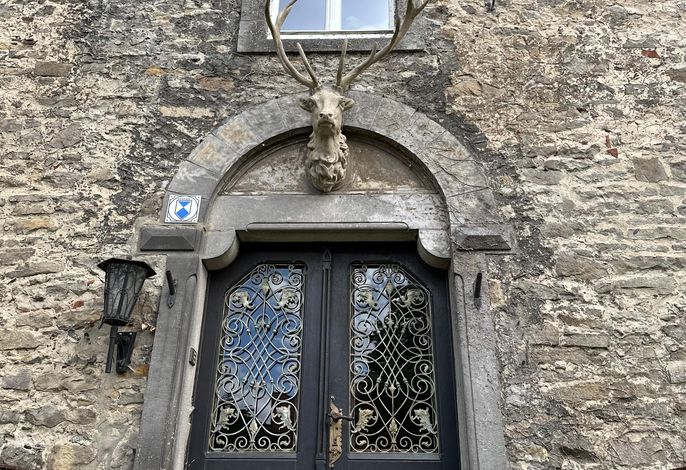 Bild 21