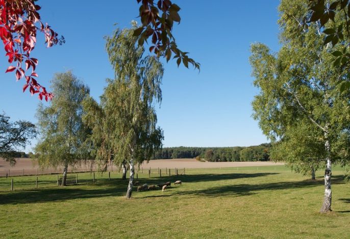 Bild 9
