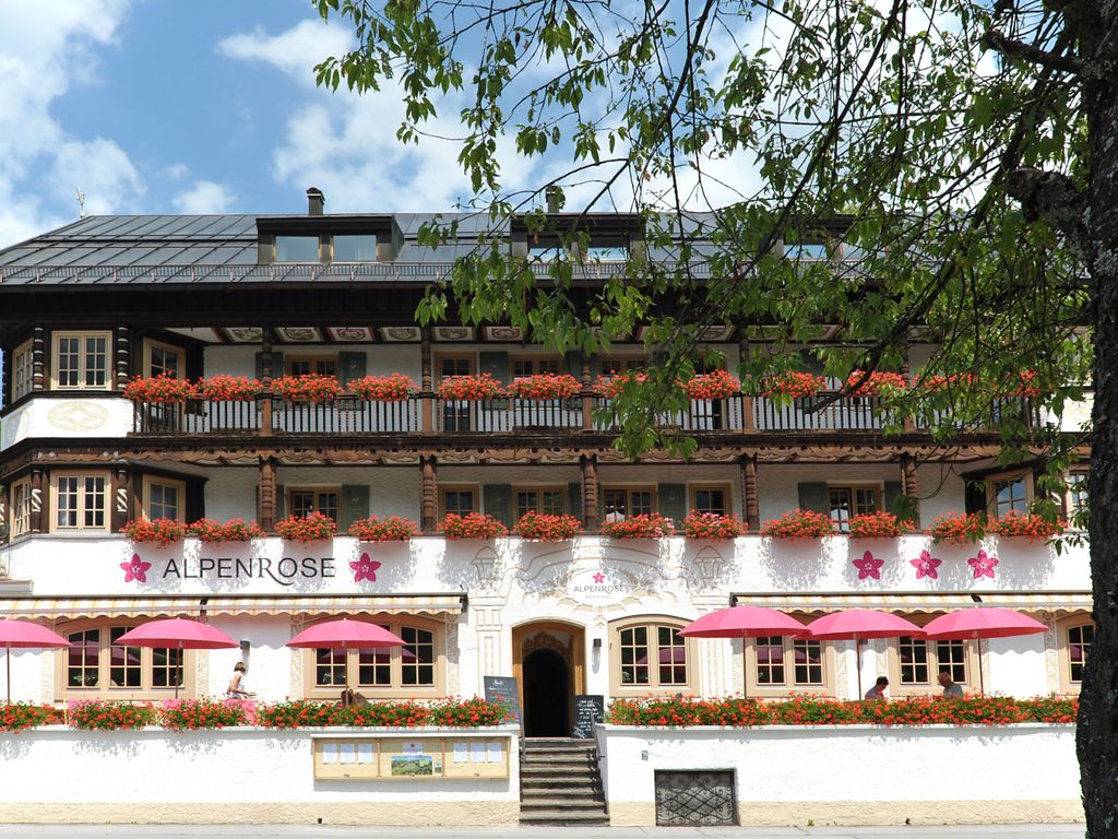Alpenrose