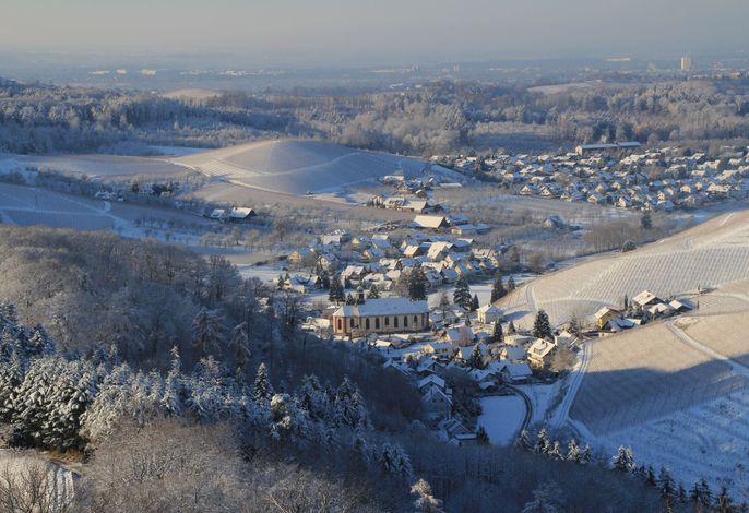 Bild 14