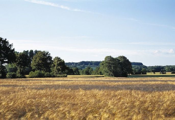 Bild 31