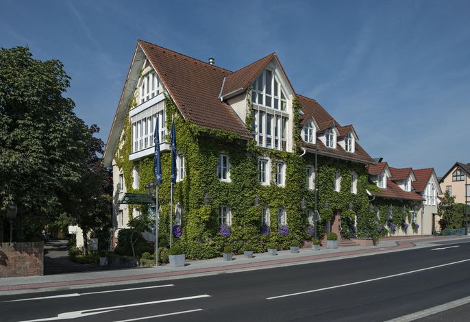 Bild 13