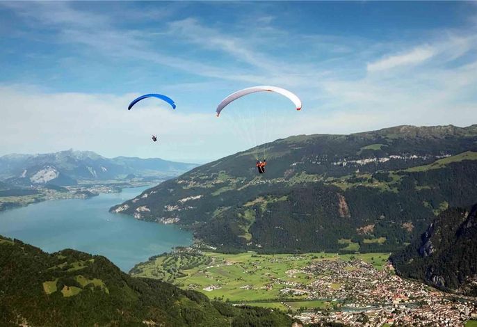 Bild 79