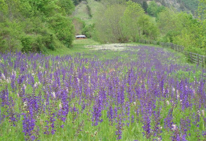 Bild 14