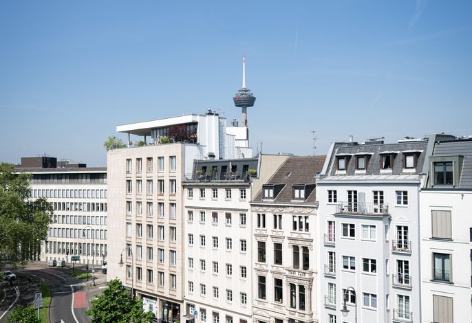 Bild 19
