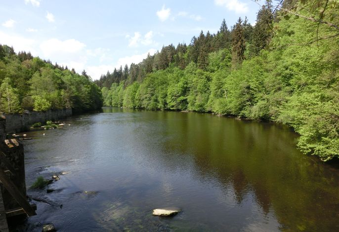 Bild 15