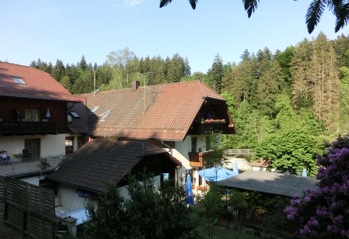 Bild 19