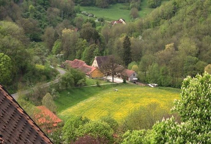 Bild 17