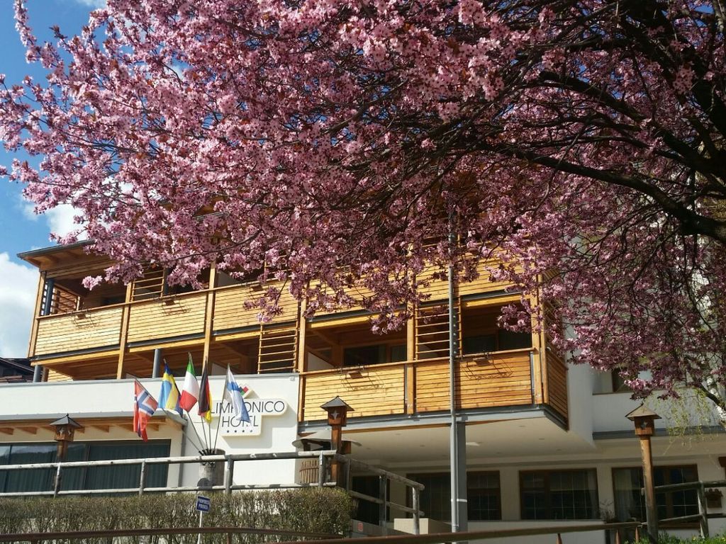 Olimpionico Hotel