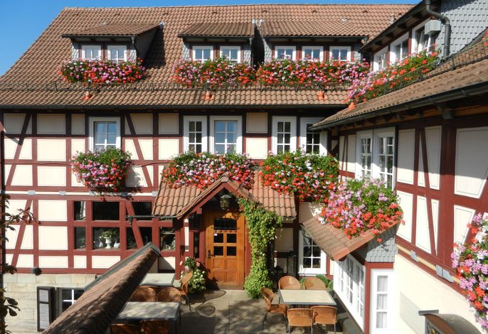 Bild 15