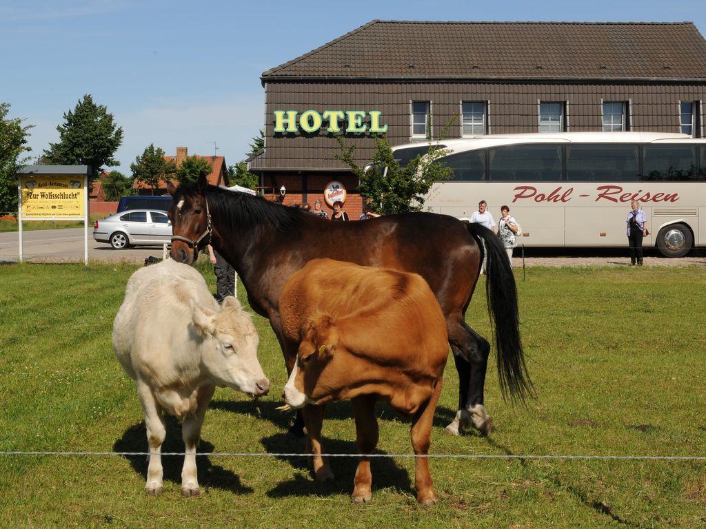 Zur Wolfsschlucht Das wolfshotel®