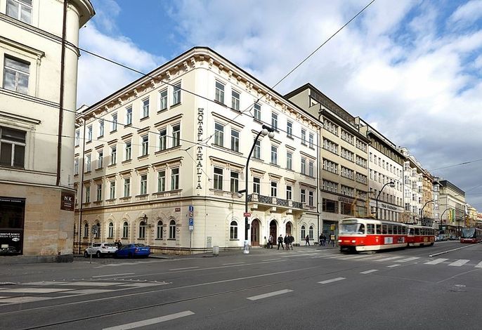 Bild 12