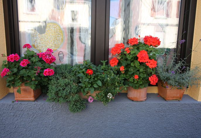 Bild 16