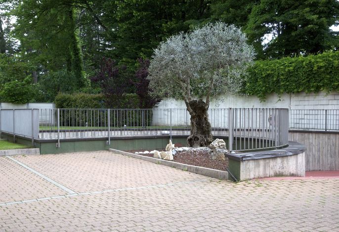 Bild 7