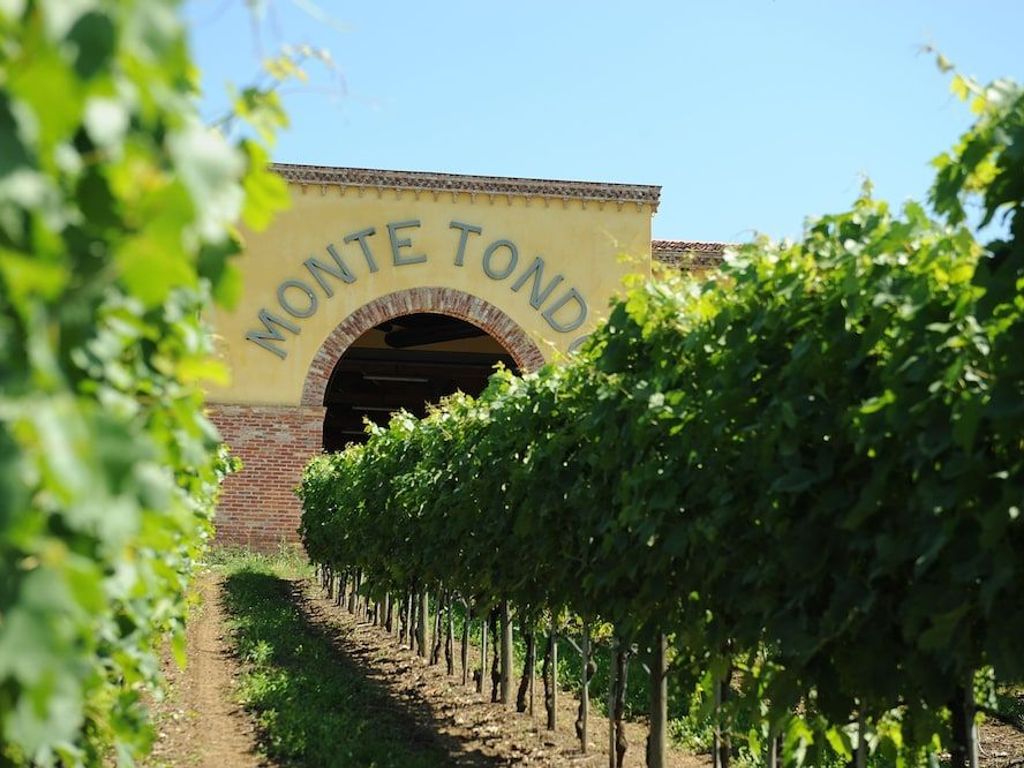 Monte Tondo Bed & Breakfast