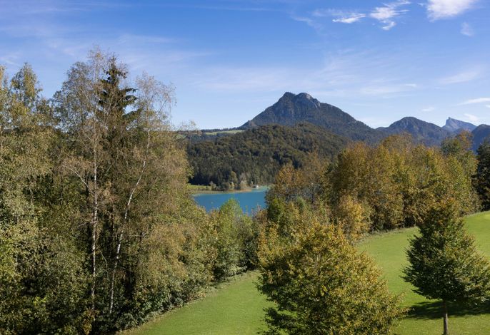 Bild 15