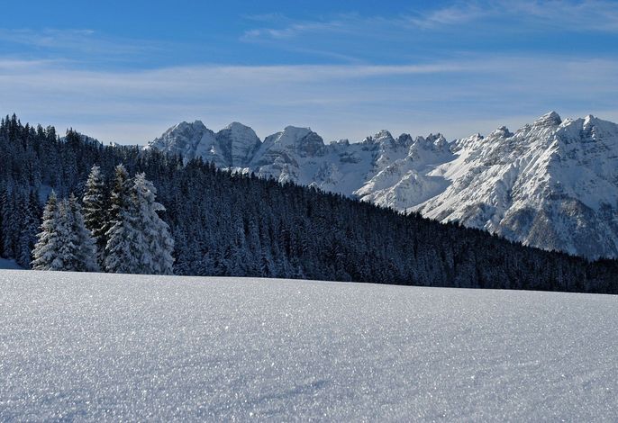 Bild 19