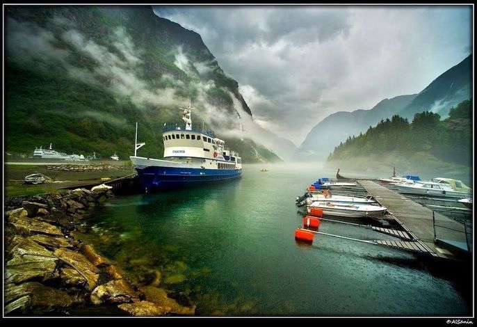 Bild 81