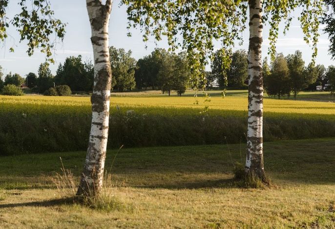 Bild 62