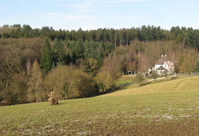 Bild 10