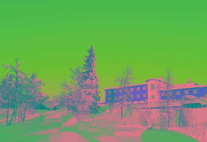 Bild 65