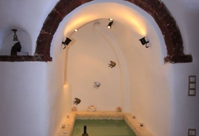 Bild 14