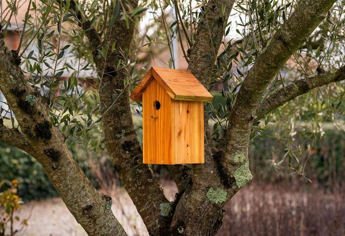 Campanile NATURE - Bordeaux Lac