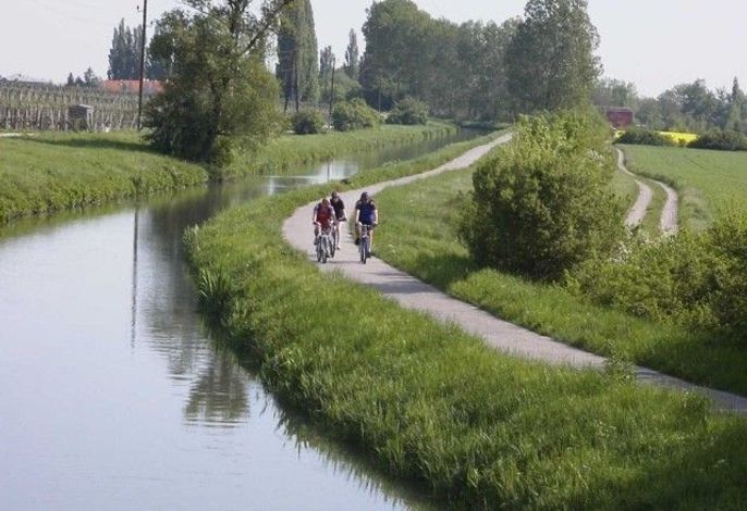 Bild 17