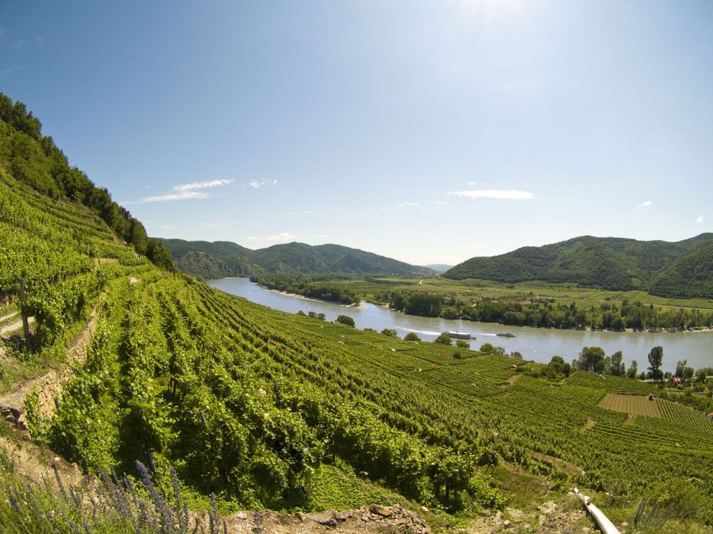 Gartenhotel & Weingut Pfeffel