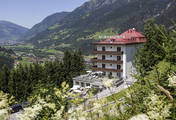 Bild 11